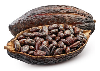 Fresh dark cocoa fruit isolated on white background. Cocoa pod Clipping path. Cocoa macro studio photo