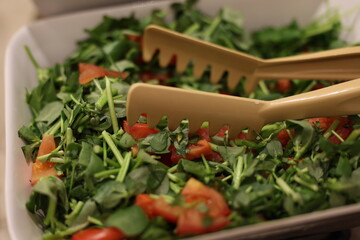 A vibrant salad bowl filled with fresh greens and juicy cherry tomatoes, ideal for healthy meals anytime
