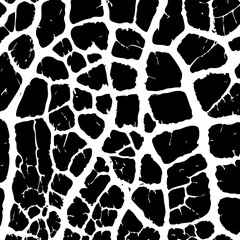 Obraz premium seamless elephant pattern