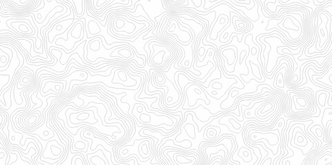 Black and white wave Seamless line. Vector geographic contour map. Topography map background. Topography relief. White wave paper curved reliefs abstract. Topographic map patterns,topography line map.