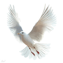 Obraz premium Flying seagull isolated on a white background with clipping path. 