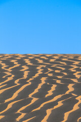 Ripples in the sand - 5