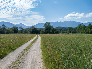 Moor, mountains, Alpine foothills, Staffelsee, Murnau, swamp