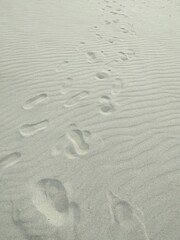 砂浜に残った足跡