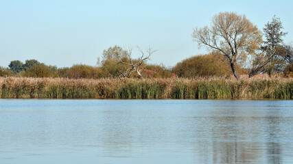 forest. winter or autumn season. lake in autumn forest. Beautiful colored trees with lake in autumn, landscape photography. Late autumn and early winter period. Outdoor and nature.