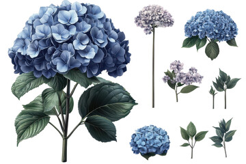  floral set featuring separate blue flowers and leaves in a detailed design