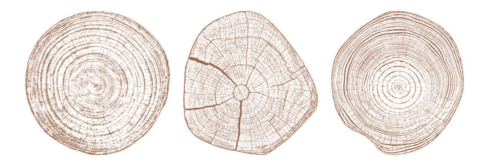 Tree wood texture. Wooden old trunk. Cut timber log. Abstract rings nature pattern. Brown circle stump. Wood cross section. Set vector illustration. EPS 10.