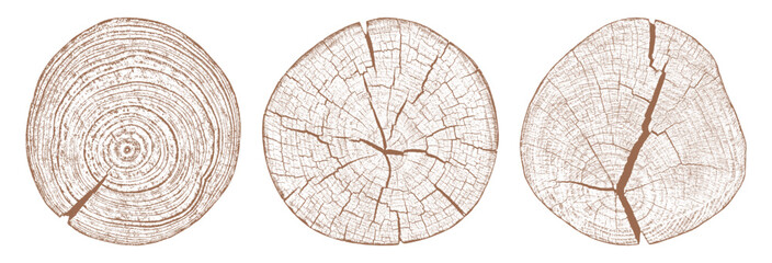 Tree wood texture. Wooden old trunk. Cut timber log. Abstract rings nature pattern. Brown circle stump. Wood cross section. Set vector illustration. EPS 10.