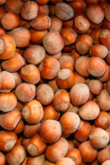 Full frame of heap of hazelnuts. Hazelnuts harvest. Filbert photo wallpaper. Healthy fat. nuts hazelnuts.Healthy organic bio products. Food background.top view.Vegetarian, vegan and raw food. 