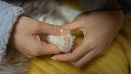 A woman gently holding a kitten's paw while sitting on a bed in a cozy bedroom, capturing an...