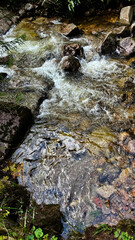 A small mountain river with a flow of water in the Polish mountains. Eastern Sudetes