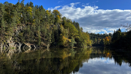 Obraz premium Autumn trees on rocks reflect off the surface of the river with floating autumn leaves. Poland