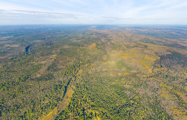 Bazhukovo, Russia. Autumn landscape. Deer streams. Nature park in a wooded area, famous for its rich flora. Aerial view