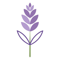 Detailed Lavender Summer Bloomer Vector.