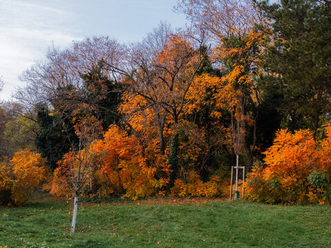 Herbstimpressionen Kurpark Wien 