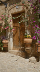 Blurred flowers and potted plants framing a rustic wooden door in an outdoor setting in mallorca, spain, with the background beautifully defocused