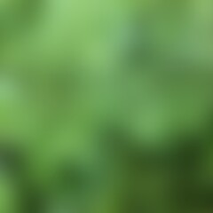 Green gradient color background in soft tones. Abstract, blurred, minimalist.