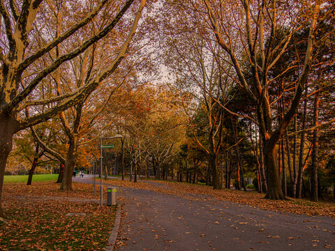 Herbstimpressionen Kurpark Wien 