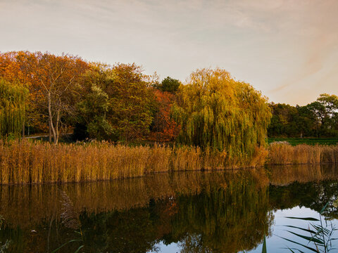 Herbstimpressionen Kurpark Wien 