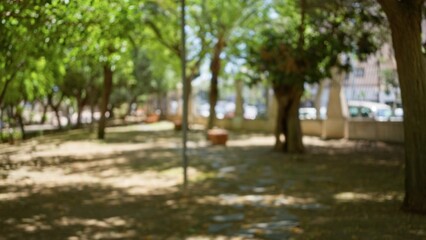 Defocused outdoor park scene with blurred green trees and pathways on a sunny day