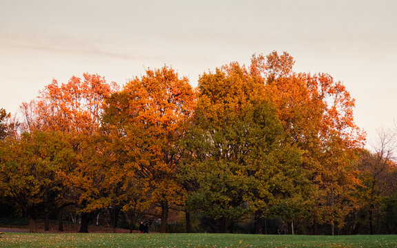 Herbstimpressionen Kurpark Wien 