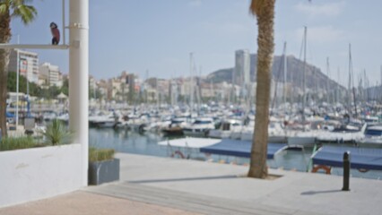 Blurred marina view with boats docked, city skyline in background, palm trees, bright sky, and walking path creating a defocused vibrant outdoor urban scene
