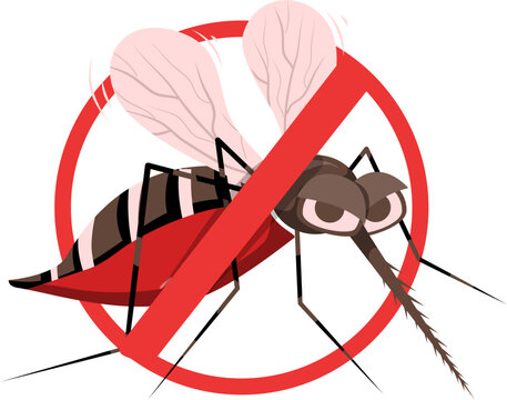 Mosquito illustration 