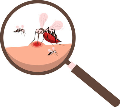 Mosquito bite illustration 