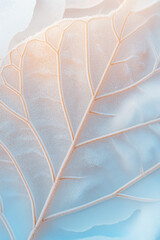 A close-up of a delicate leaf covered in frost, showcasing intricate veins and a soft, pastel color...