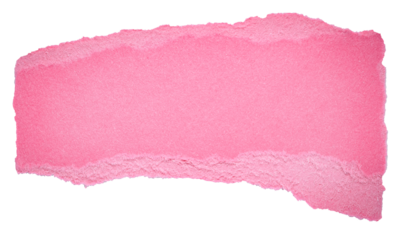 Isolated cut out torn piece of blank pink paper note cardboard with texture and copy space for text, transparent png background design element