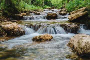 Fototapeta premium waterfall in the forest