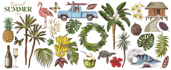 Tropical Hawaii vector super set © Marina Gorskaya