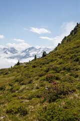 Naklejka premium Hiking Karspitze one of the peaks on Nordkette mountain range in Tyrol, Austria in summer