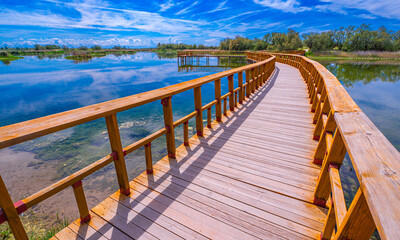 Fototapeta premium Tablas de Daimiel National Park, Daimiel, Ciudad Real, Castilla La Mancha, Spain, Europe