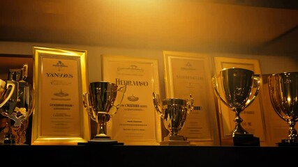 A bookshelf filled with trophies, awards, and certificates under warm, static lighting, establishing a scene of success.