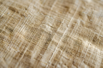 Fototapeta premium Macro Detail of Interwoven Fibers in Papyrus Writing Surface 