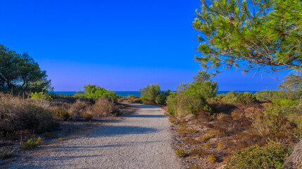 Finca Pública de Son Real, Natura 2000, Península de Llevant Natural Park, Mallorca, Balearic Islands, Spain, Europe
