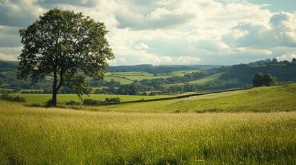 Fototapeta premium Lone tree in green grassy field with rolling hills under cloudy sky