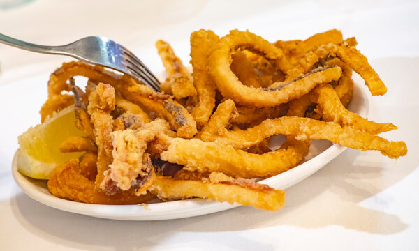 Fried Squid, Spanish Delicacy, Spanish Gastronomy, Cantabria, Spain, Europe