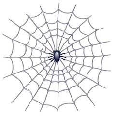 Obraz premium Spider Web Isolated on Transparent Background