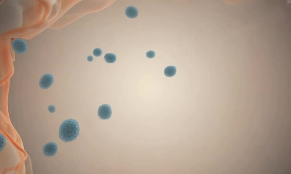 The thymus is the organ primarily responsible for the production and maturation of immune cells .
