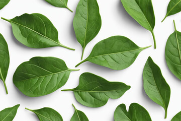 Naklejka premium Overhead view of vibrant green leaves arranged on white background