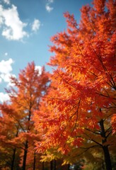 Vibrant autumn leaves in shades of orange and red against blue sky create serene and colorful scene. beauty of nature is captured in this peaceful moment