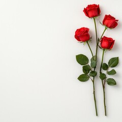 Fototapeta premium A photostock of a classic bouquet of red roses, isolated on white background, High Quality