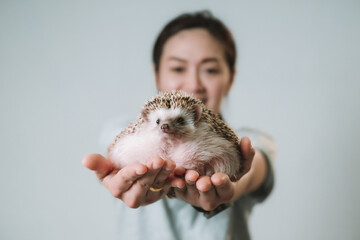 Woman and hedgehog © Peeraphat