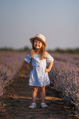 Little girl in in white and blue dress across field of purple lavender among the rows at sunset.