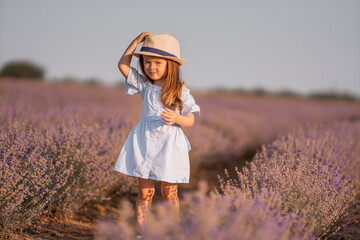 Little girl in in white and blue dress across field of purple lavender among the rows at sunset.