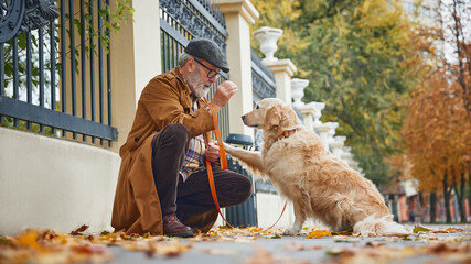 Smart cute purebred Golden retriever dog carries out owner's commands, and he, senior man sitting near. Mature man with pet in park. Concept of mature people in modern lifestyle, retirement time.
