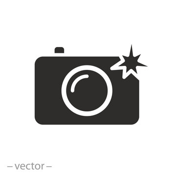 photo shot light, camera with flash icon, professional paparazzi concept, photography process, flat vector illustration