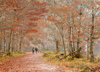 In autumn, Germany&rsquo;s K&ouml;nigssee becomes a serene mirror, reflecting fiery trees and rugged peaks. At its end, the idyllic St. Bartholom&auml; Church stands in quiet beauty, a timeless lakeside gem.